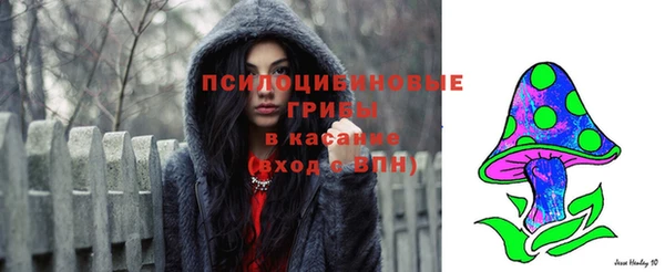 Альфа ПВП Беломорск