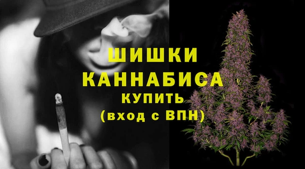 spice Белокуриха