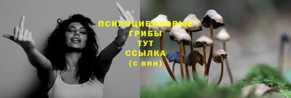 Альфа ПВП Беломорск