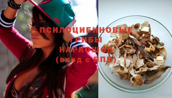 Альфа ПВП Беломорск