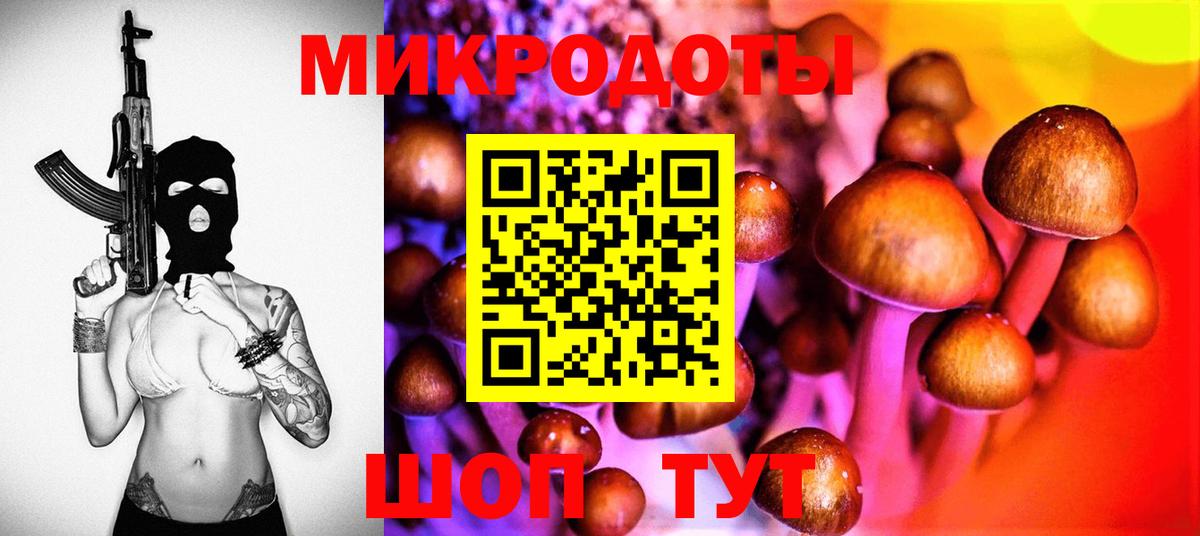 Псилоцибиновые грибы Cubensis Маркс
